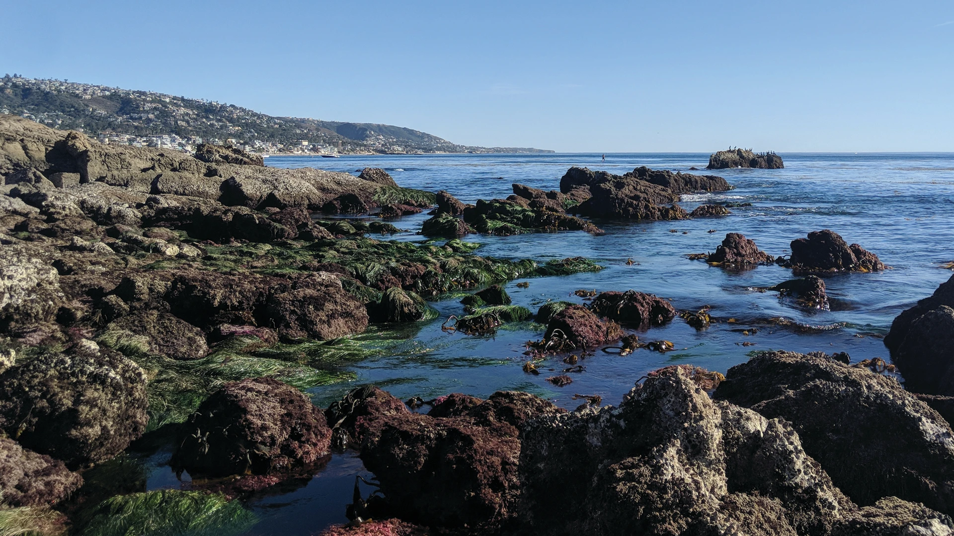 crystal cove state park